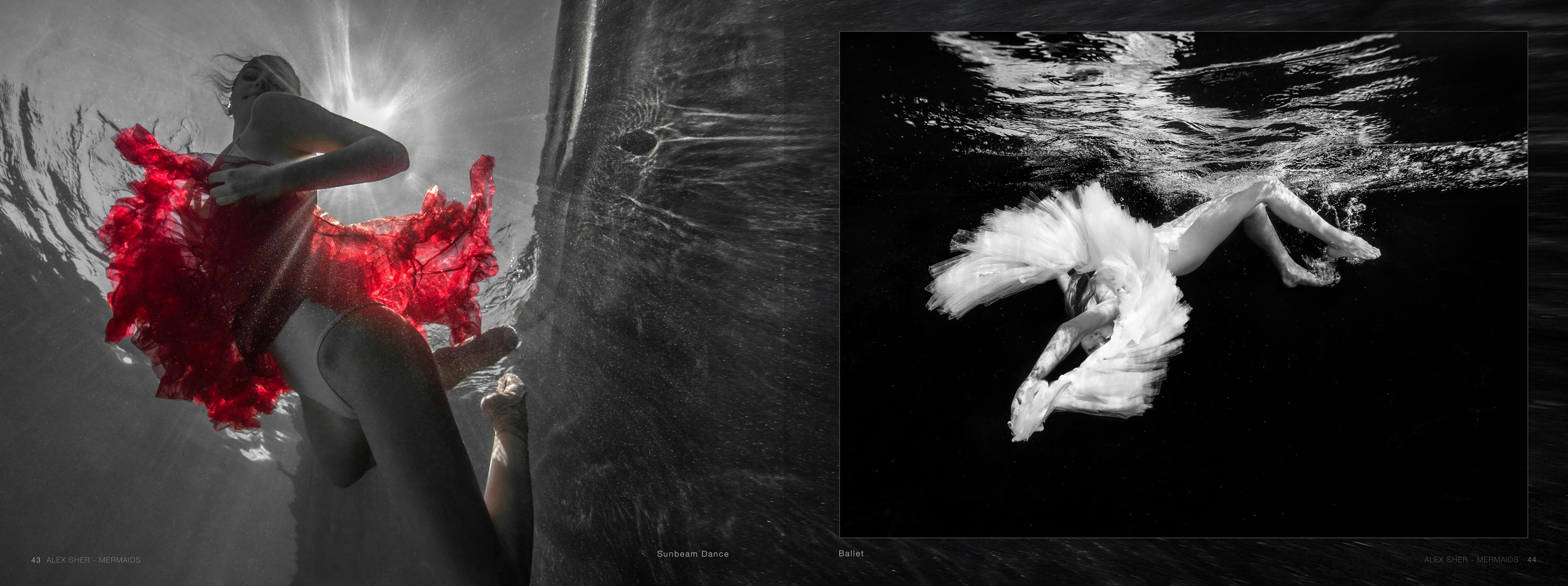 Mermaids -  a book of underwater nude and ocean wildlife photographs For Sale 5