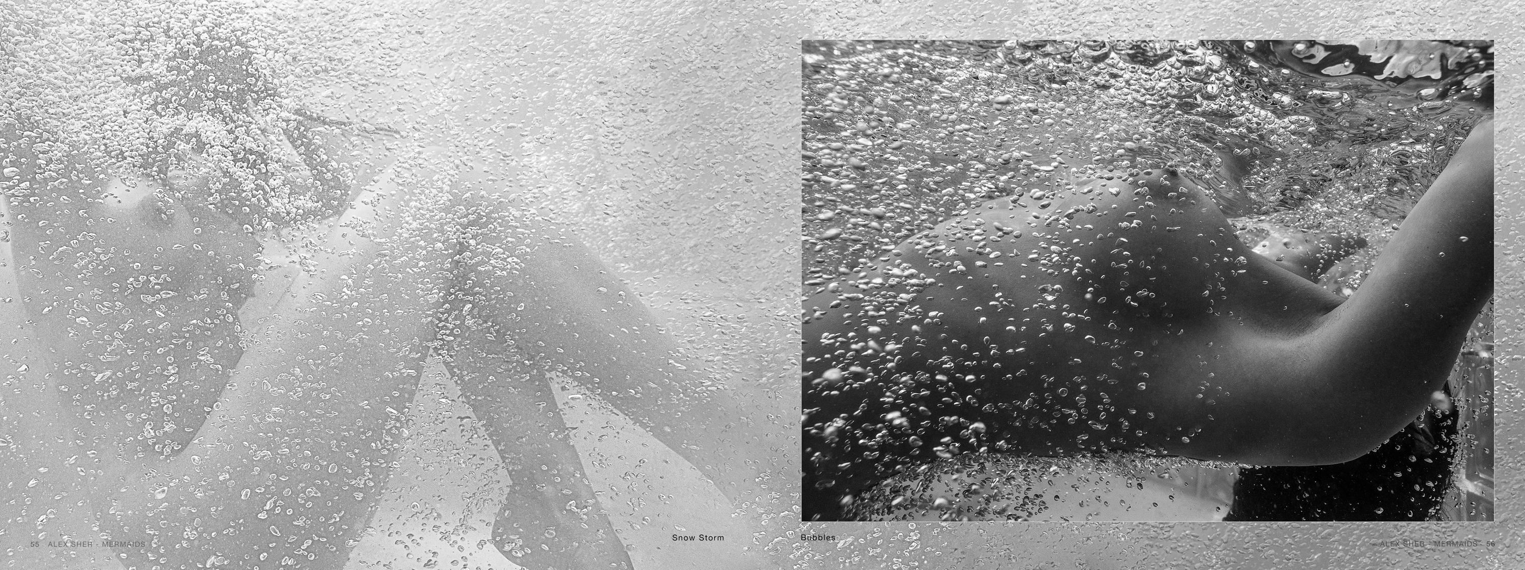 Mermaids -  a book of underwater nude and ocean wildlife photographs For Sale 8