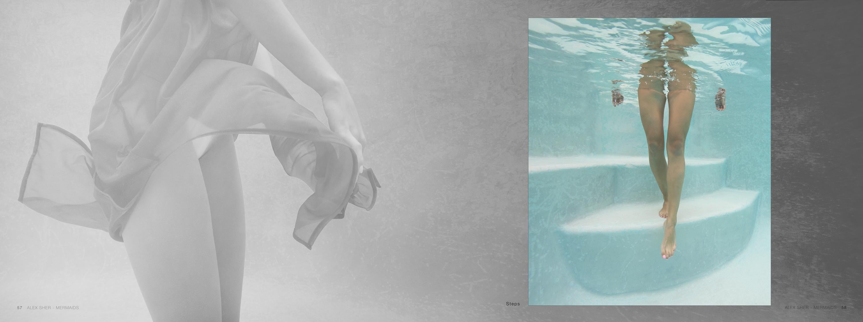 Mermaids -  a book of underwater nude and ocean wildlife photographs For Sale 9