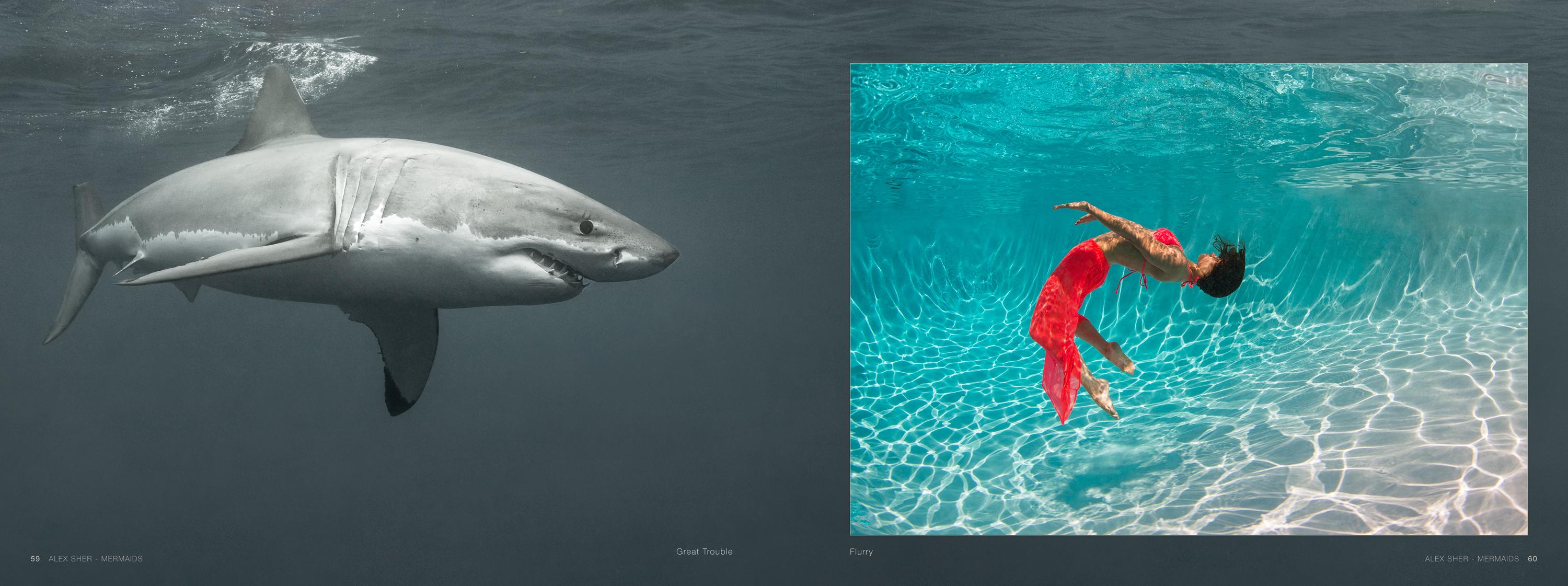 Mermaids -  a book of underwater nude and ocean wildlife photographs For Sale 10