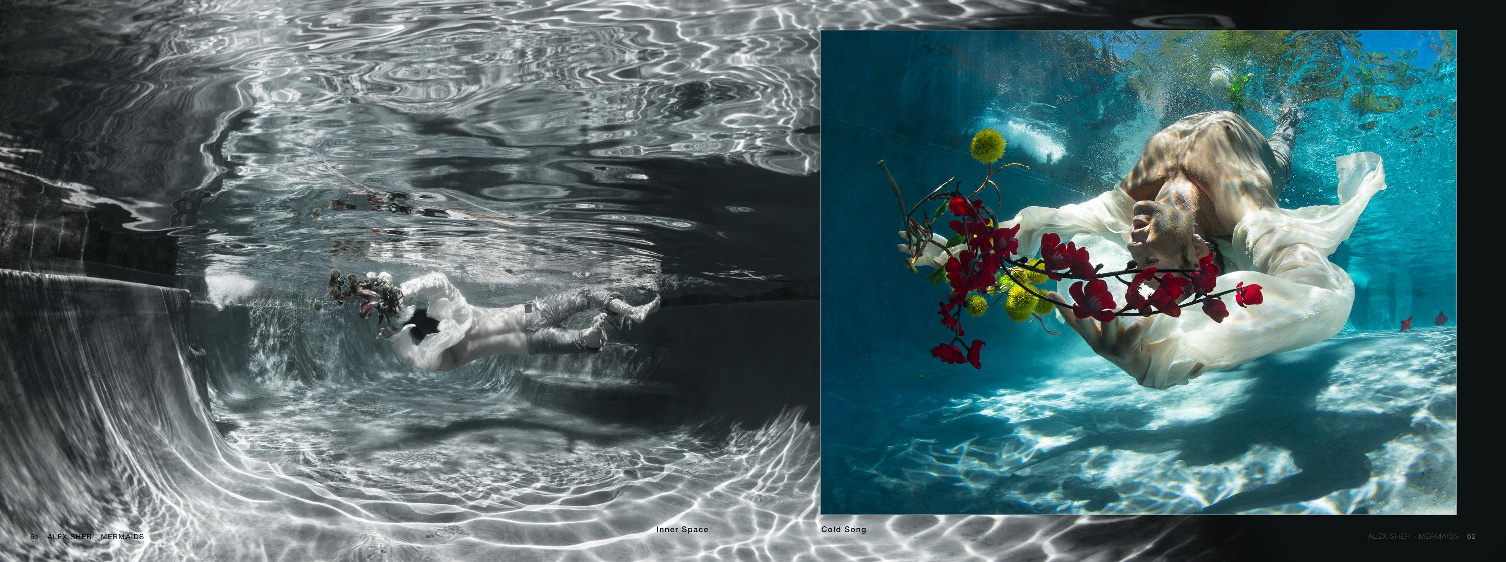 Mermaids -  a book of underwater nude and ocean wildlife photographs For Sale 11