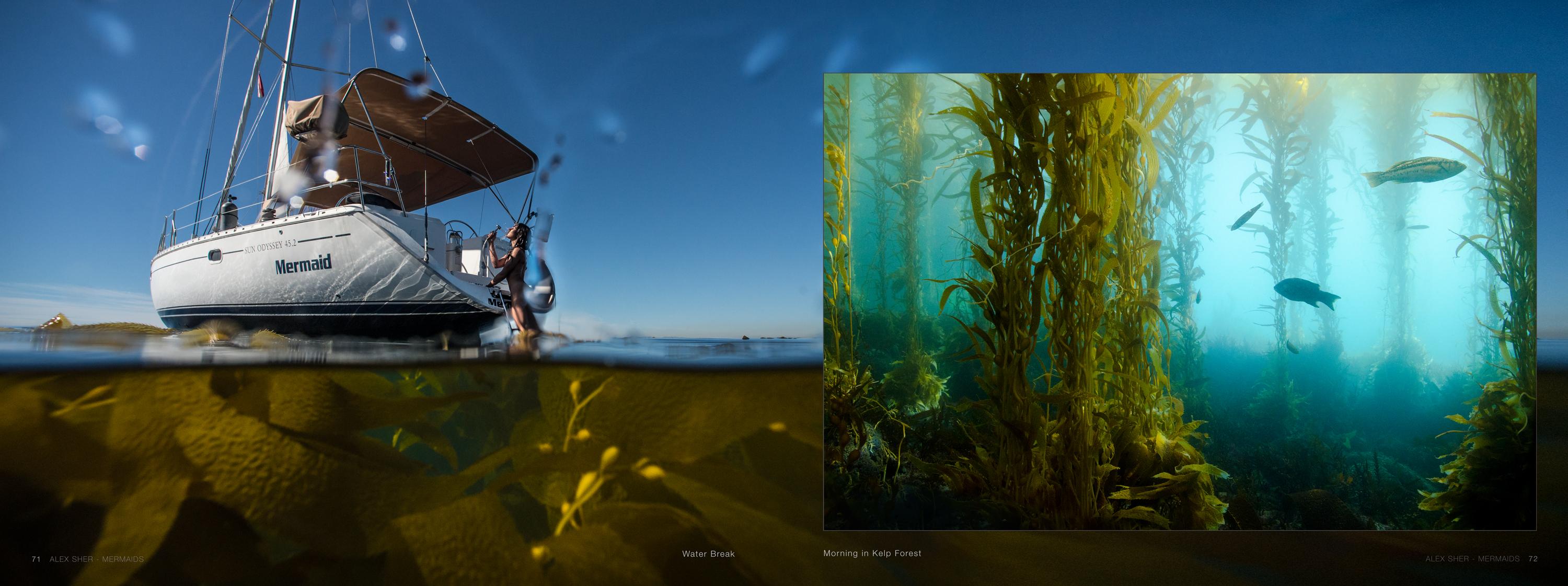 Mermaids -  a book of underwater nude and ocean wildlife photographs For Sale 14