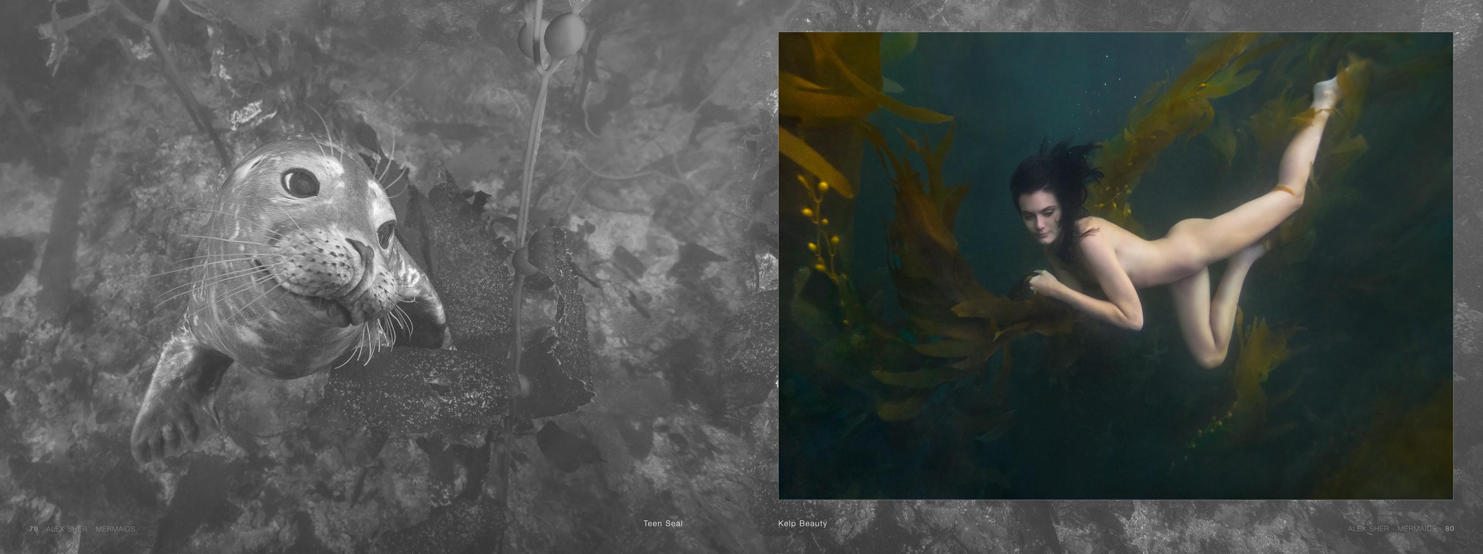 Mermaids -  a book of underwater nude and ocean wildlife photographs For Sale 14