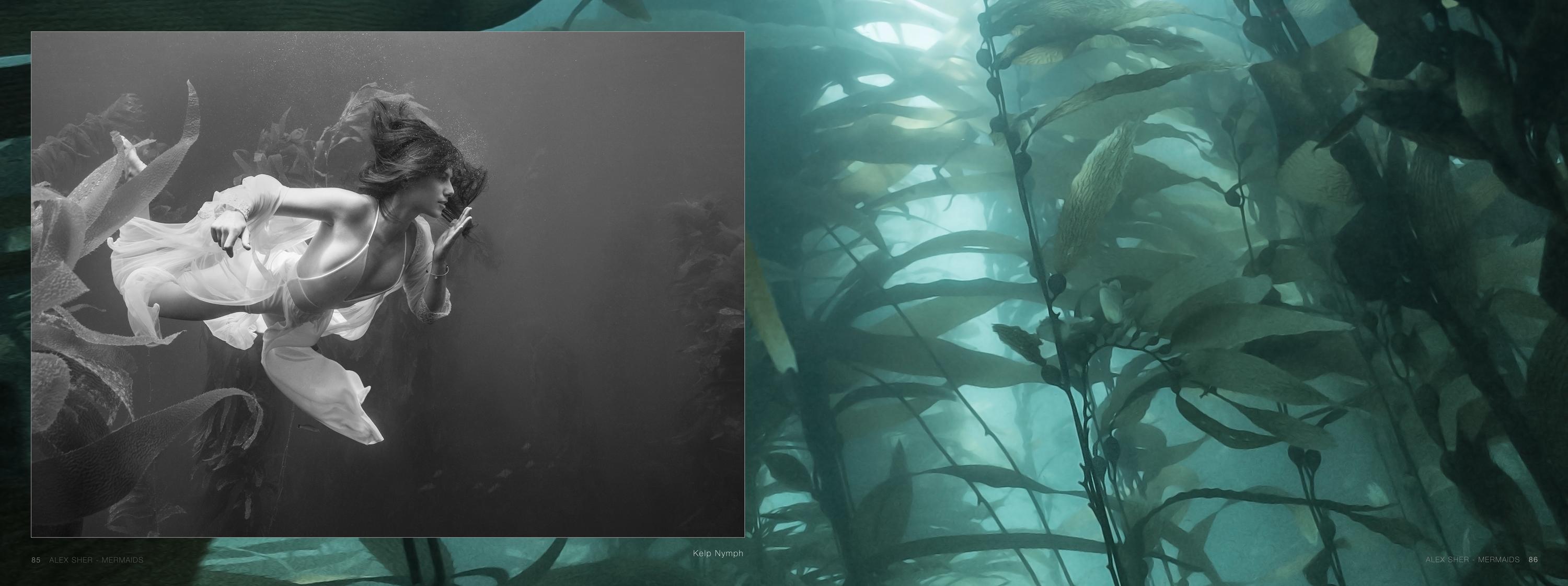 Mermaids -  a book of underwater nude and ocean wildlife photographs For Sale 15