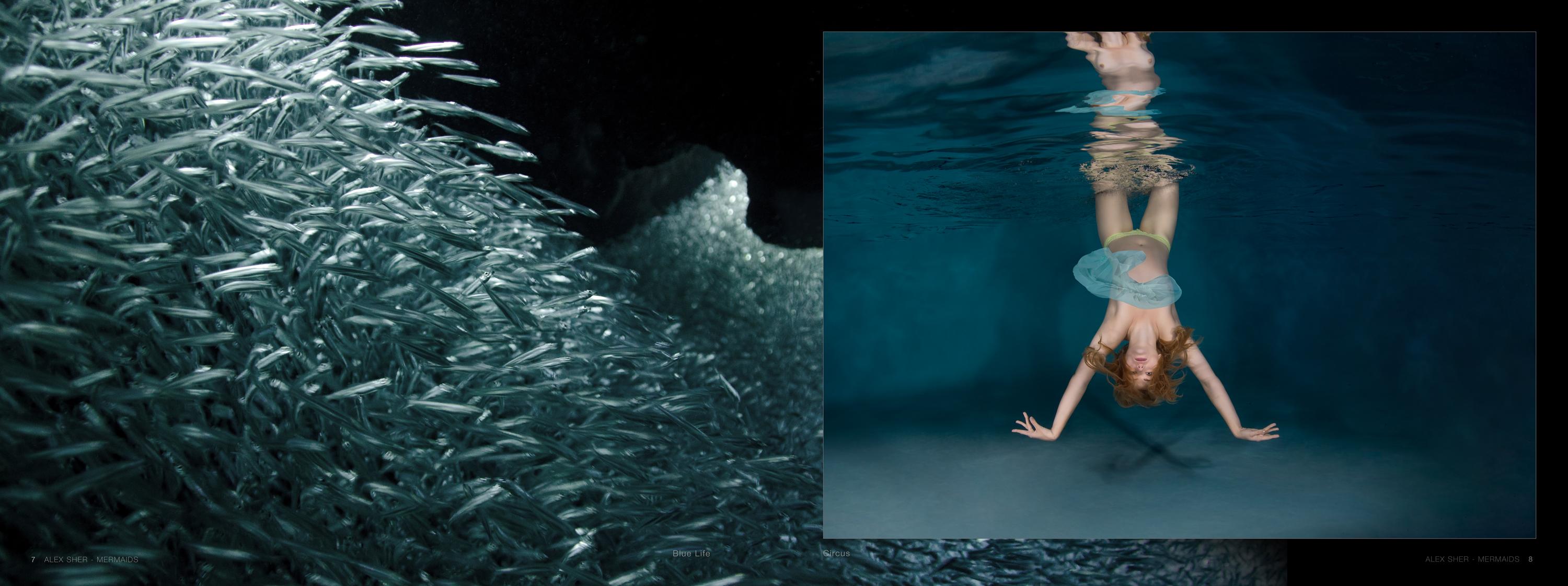 Mermaids -  a book of underwater nude and ocean wildlife photographs - Black Figurative Photograph by Alex Sher