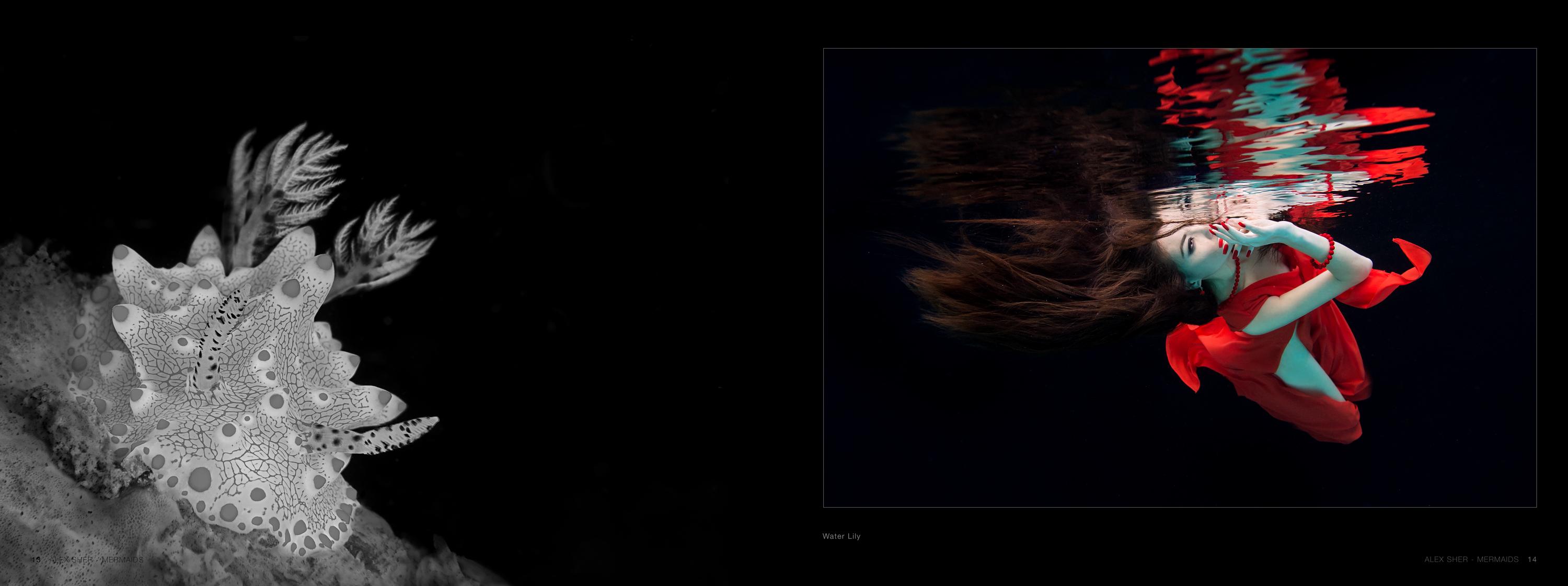 Mermaids -  a book of underwater nude and ocean wildlife photographs For Sale 1