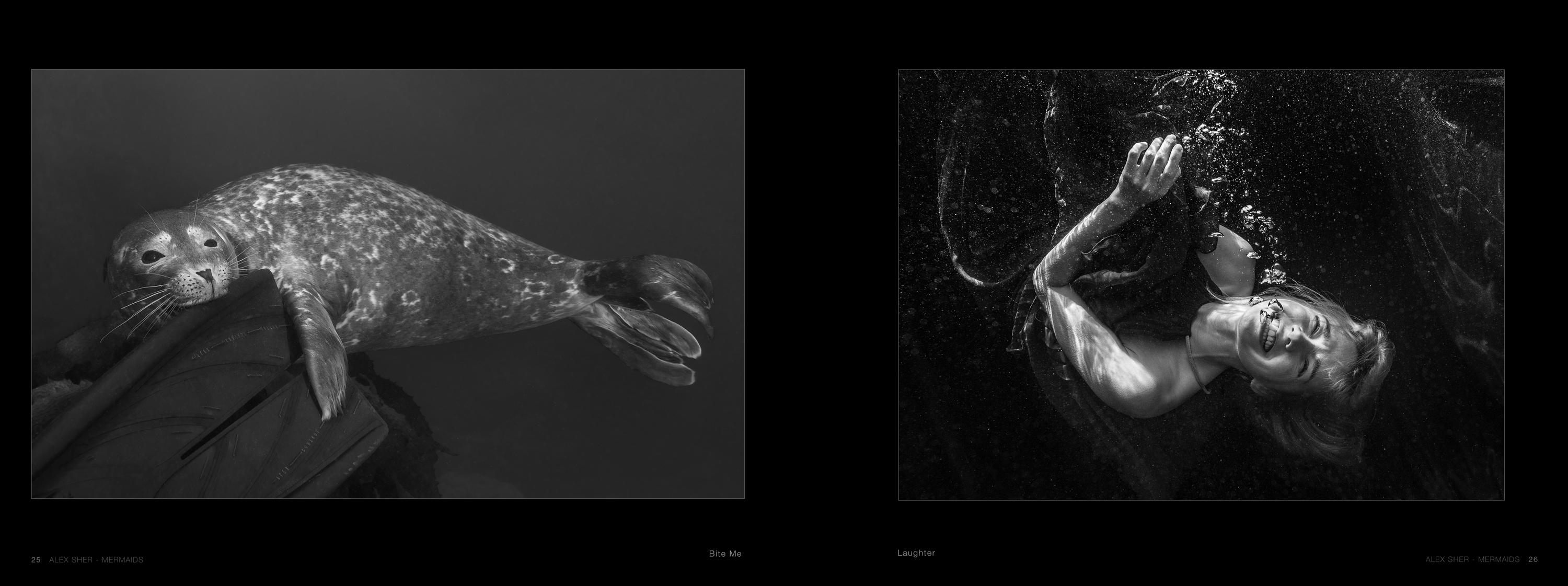 Mermaids -  a book of underwater nude and ocean wildlife photographs For Sale 2