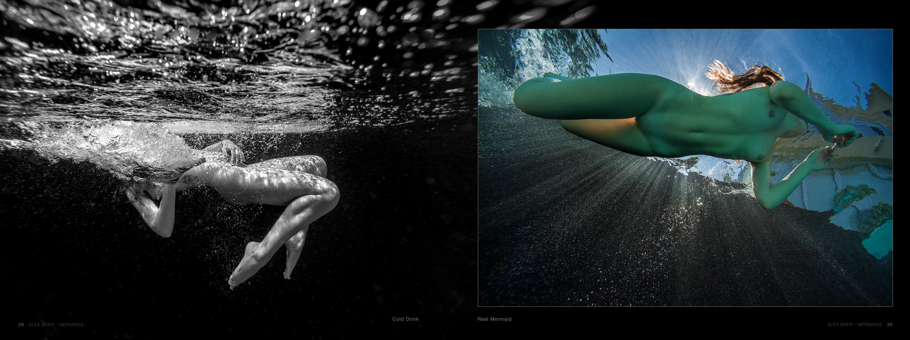 Mermaids -  a book of underwater nude and ocean wildlife photographs For Sale 3