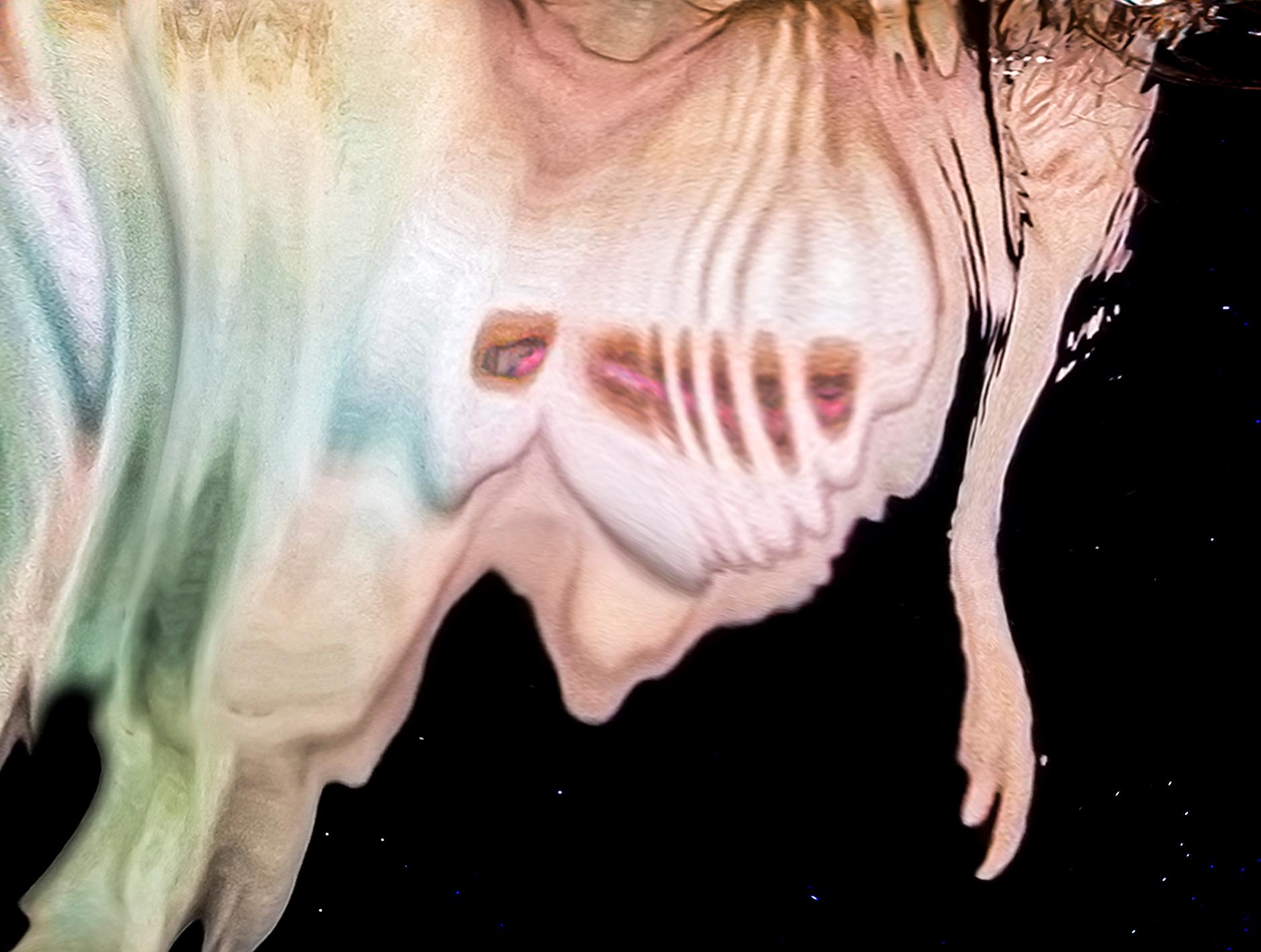 Möbius Mermaid - photographie de nu sous-marine - REFLECTIONS - pigment d'archive - Contemporain Photograph par Alex Sher