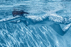 Mondlicht II – Aktfotografie im Unterwasser – Pigment im Archiv 24" x 36"