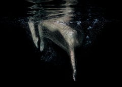 Net Fishing - underwater nude photograph - archival pigment 18" x 24"
