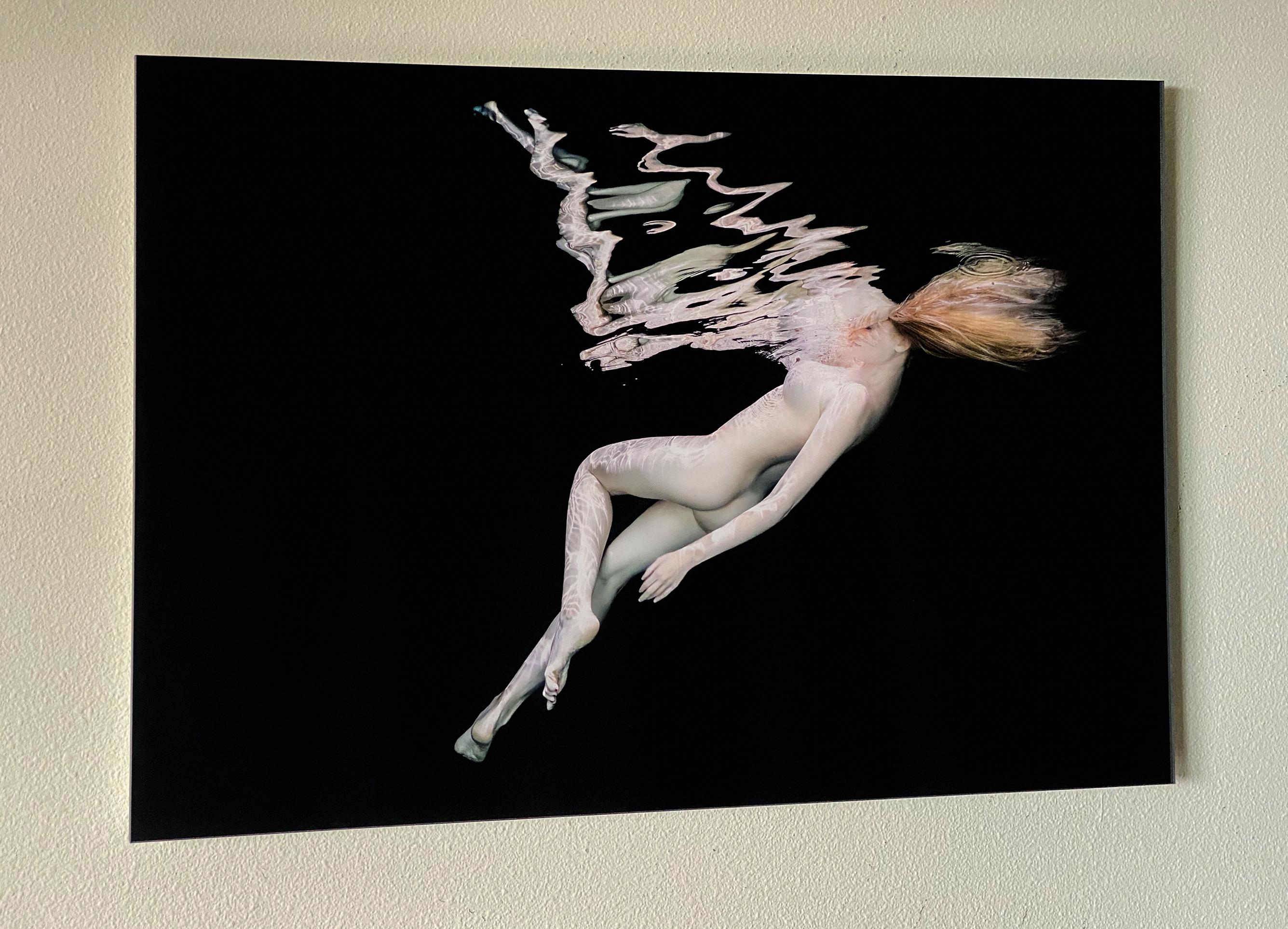 Porcelain III  - underwater nude photograph - acrylic print 24