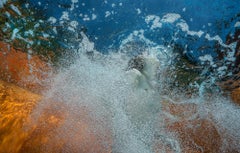 Prosecco - underwater nude photograph - archival pigment print
