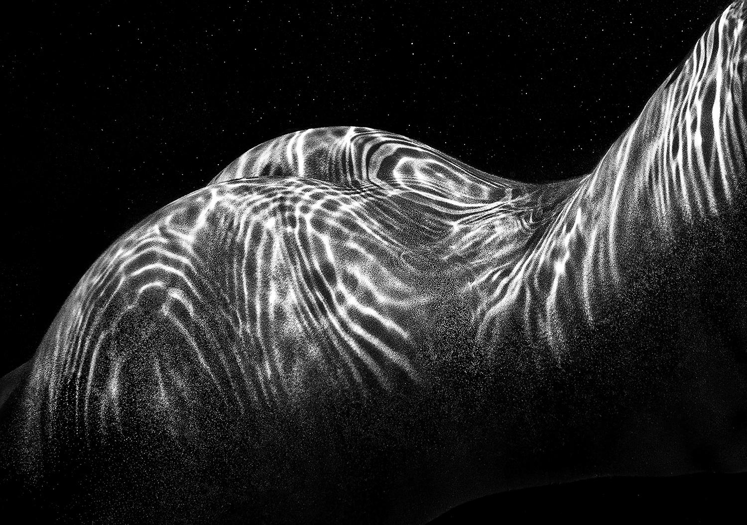 Alex Sher Nude Photograph - Ripples II - underwater nude photograph - archival pigment print 16" x 23"