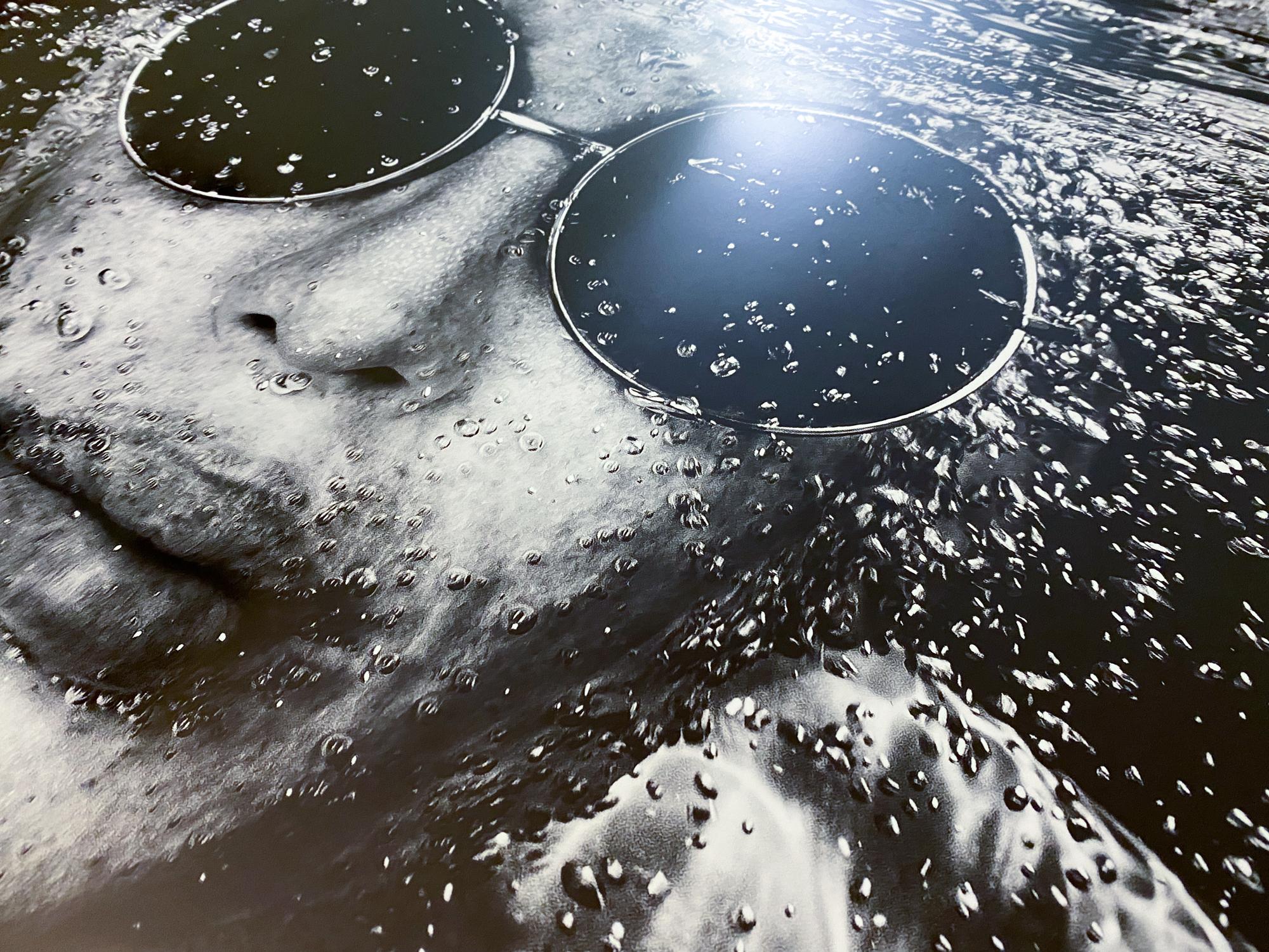 Runden  Unterwasser-Schwarz-Weiß-Fotografie – Archivpigmentdruck 22x36 (Zeitgenössisch), Photograph, von Alex Sher