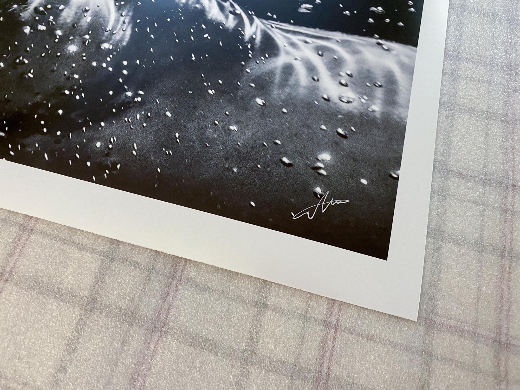 Runden  Unterwasser-Schwarz-Weiß-Fotografie – Archivpigmentdruck 22x36 im Angebot 1