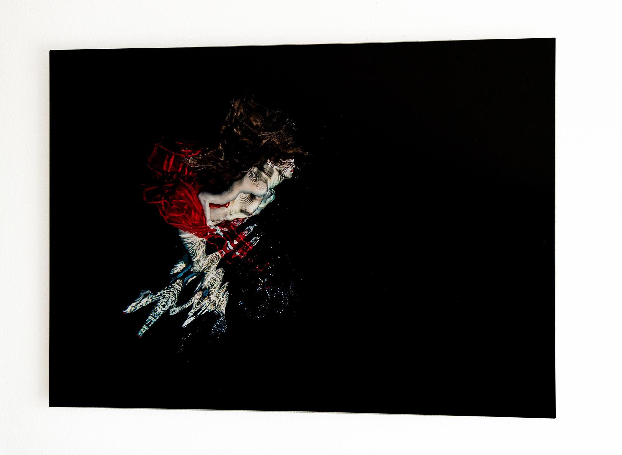 Salsa - photographie sous-marine de la série Reflections - impression sur aluminium 24x36