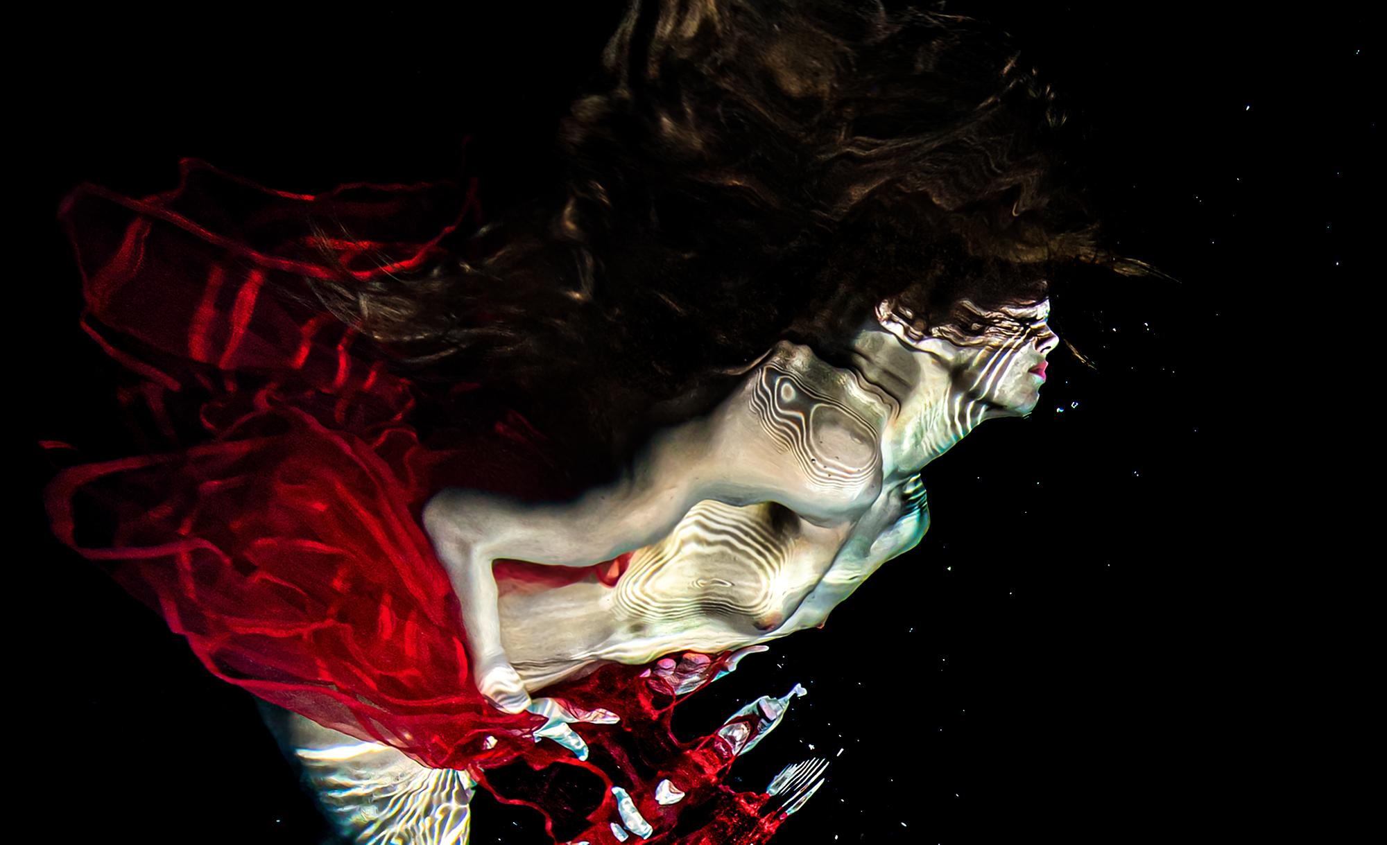 Salsa – Unterwasserfotografie aus der Serie REFLECTIONS – Druck auf Aluminium 24x36