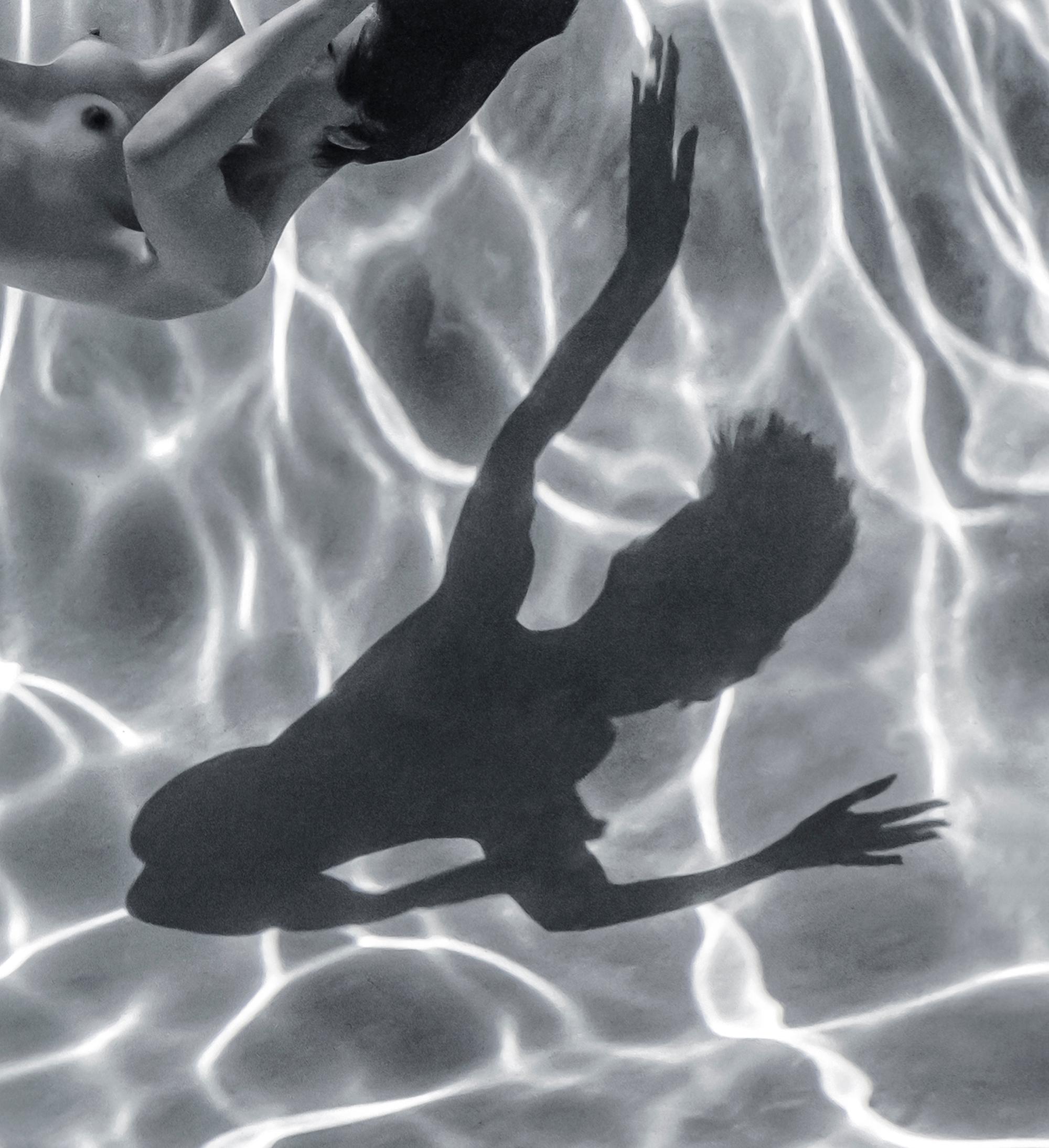 A beautiful  and mysterious underwater black and white photograph of a young naked woman slowly falling down through the pool water. Her strong body drops a bizarre shadow on the bottom of the pool covered with net of ripple shades and glares. 
This