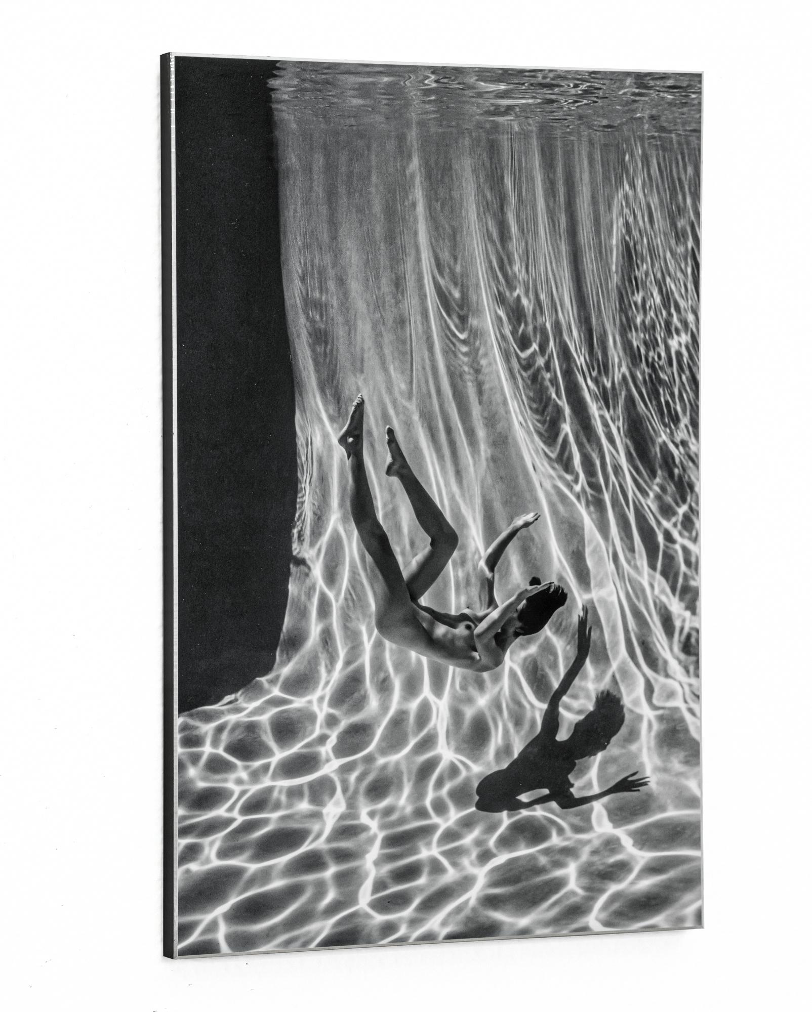 Mouvement lente - photo de nu sous l'eau - impression sur aluminium 12 x 8 po. - Photograph de Alex Sher