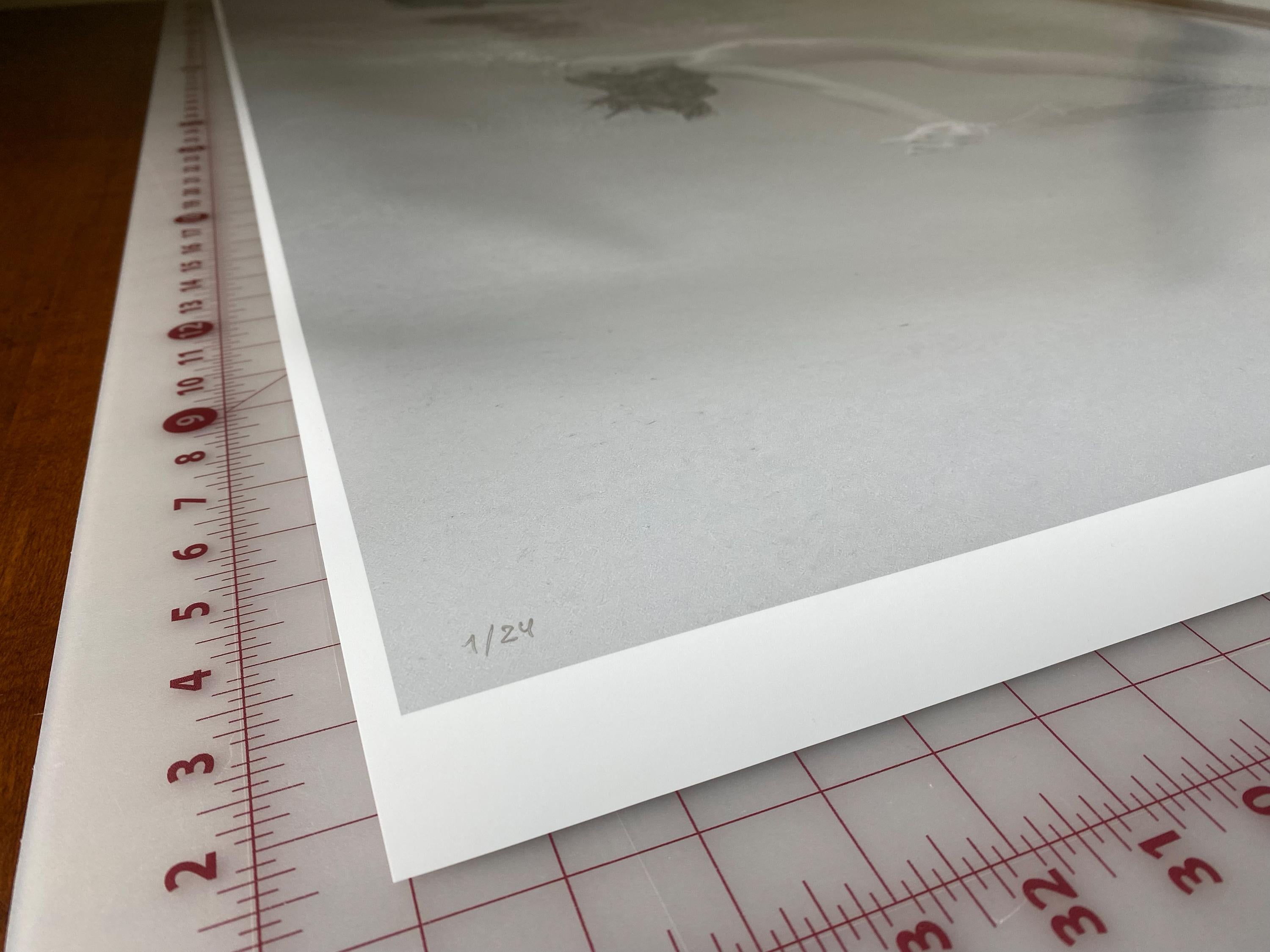 Una fotografia in bianco e nero di una giovane donna nuda che si tuffa in una piscina. La donna viene dalla profondità verso la superficie e il suo corpo si riflette nella superficie interna dell'acqua.

Stampa originale a pigmenti d'archivio in