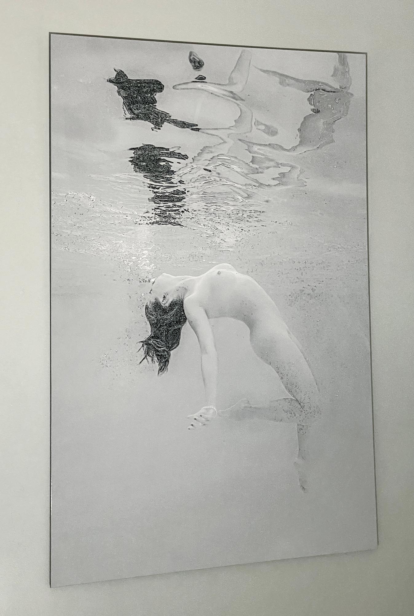 Soft Dance - Unterwasser Schwarz-Schwarz-Weiß-Nacktfotografie - Druck auf Aluminium 60x40