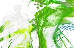 Principios de abril - fotografía submarina - Four Seasons - impresión sobre papel 24 x 40".