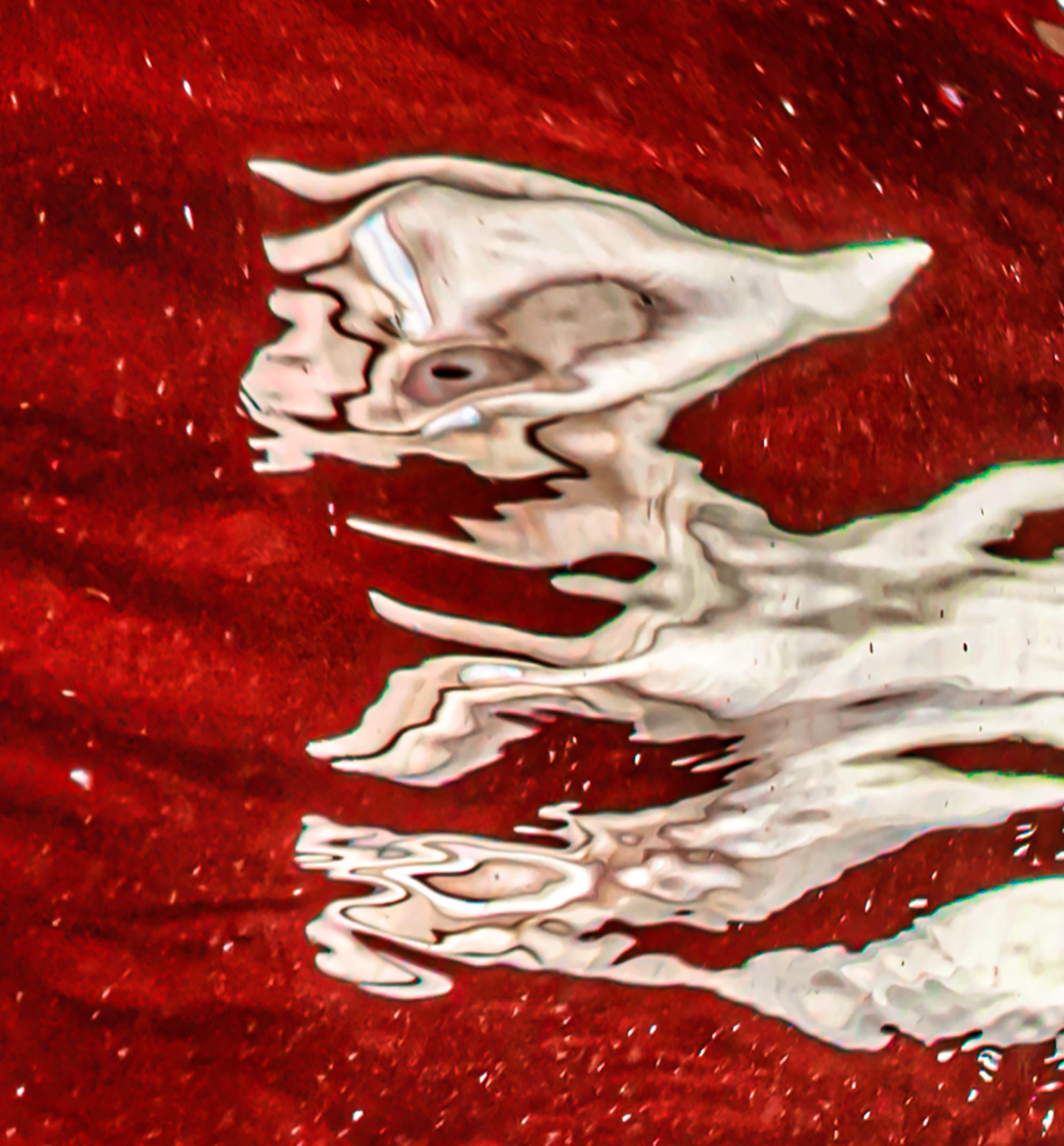 Surprise – Unterwasserfotografie aus der Serie REFLECTIONS – Acryl 27x48 (Rot), Color Photograph, von Alex Sher