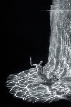 Süße Luft  (grau) - Unterwasserfotografie in Schwarz-Weiß - Papier 35 Zoll x 23 Zoll