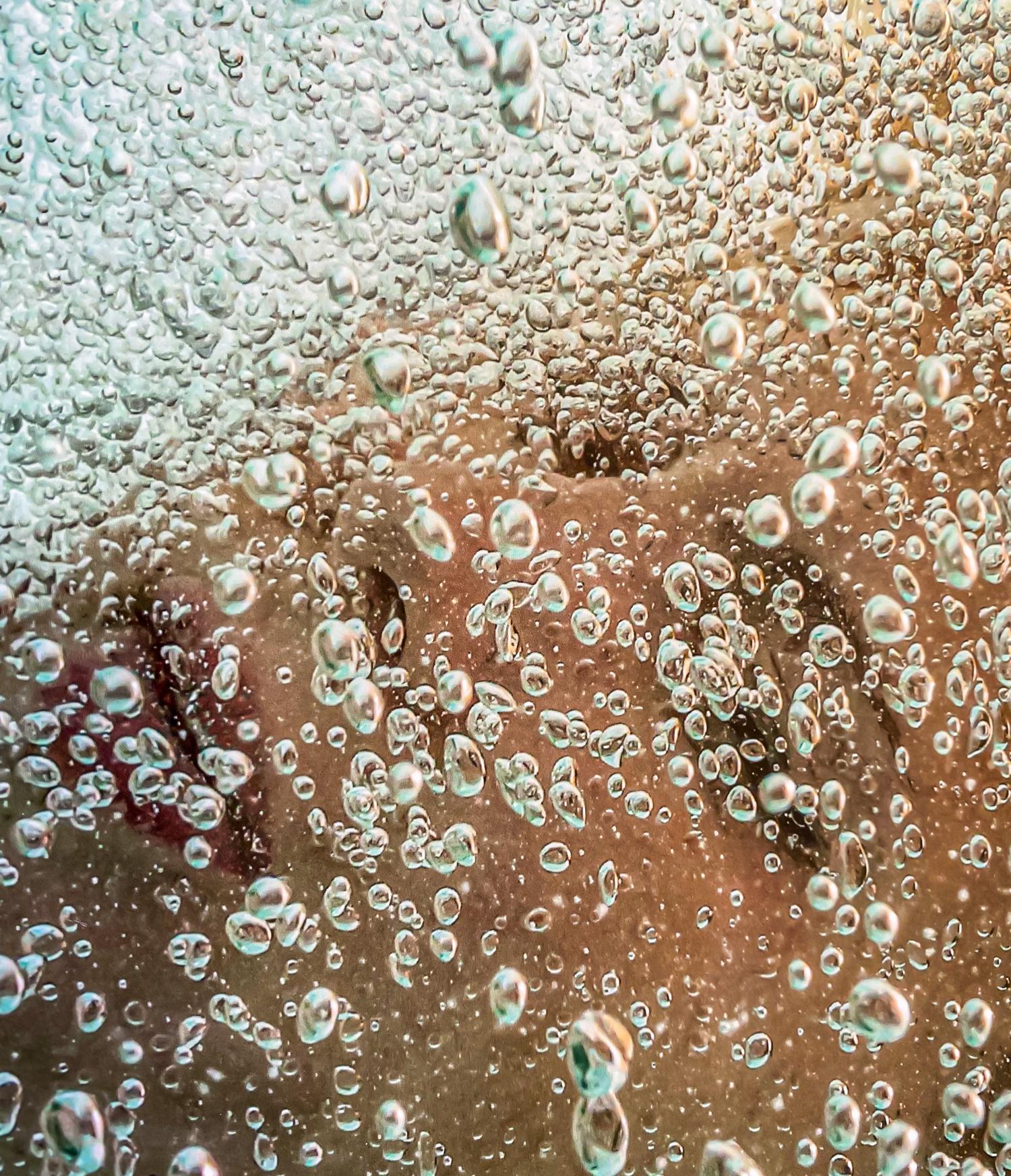 Sweet Champagne - underwater photograph - print on paper 36 x 24