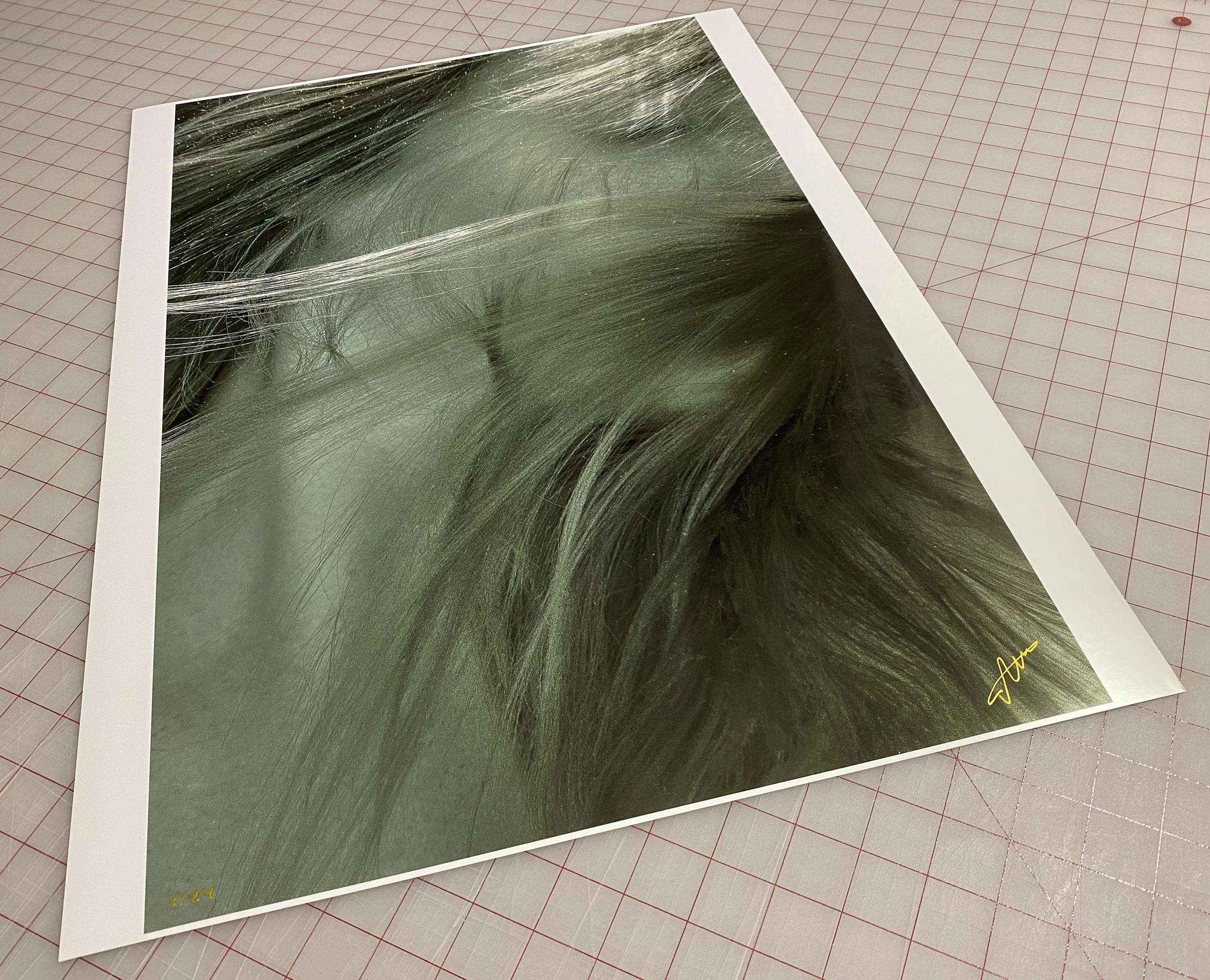 The Angel Hair - underwater photograph - print on paper 18” x 24” - Photograph by Alex Sher