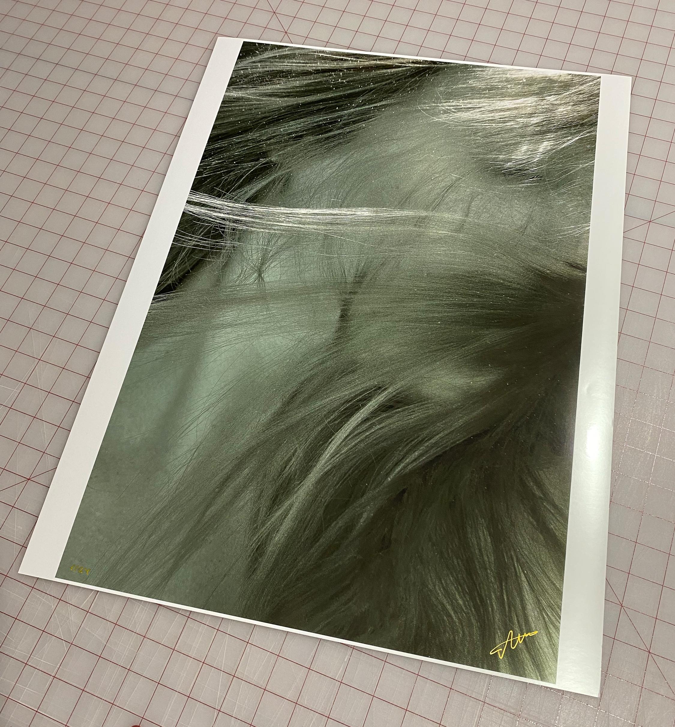 The Angel Hair - underwater photograph - print on paper 18” x 24” - Contemporary Photograph by Alex Sher