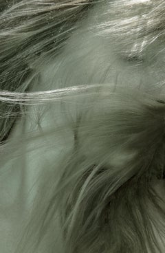 The Angel Hair - photographie sous-marine - tirage sur papier 18 x 24