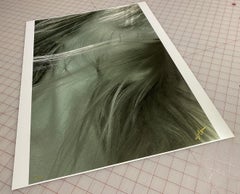 The Angel Hair - underwater photograph - print on paper 35x23"