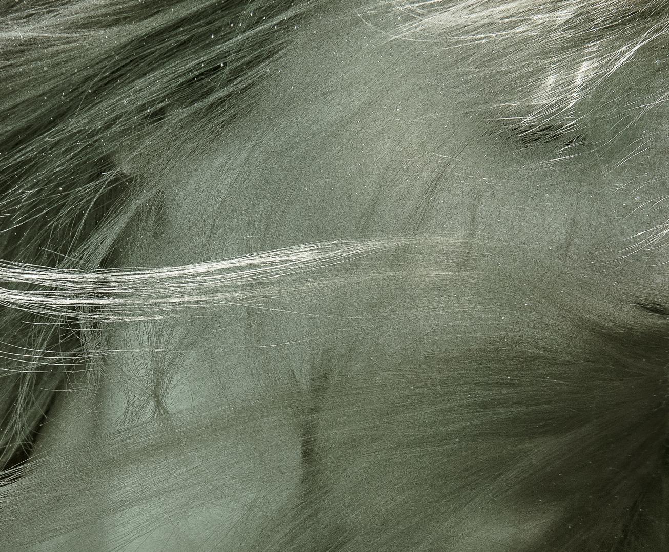 Photographie sous-marine d'une jeune femme aux longs cheveux dorés. Les cheveux couvrent le visage de la femme, ce qui donne à cette photographie figurative une allure d'art abstrait.

Tirage pigmentaire d'archives original de qualité galerie sur