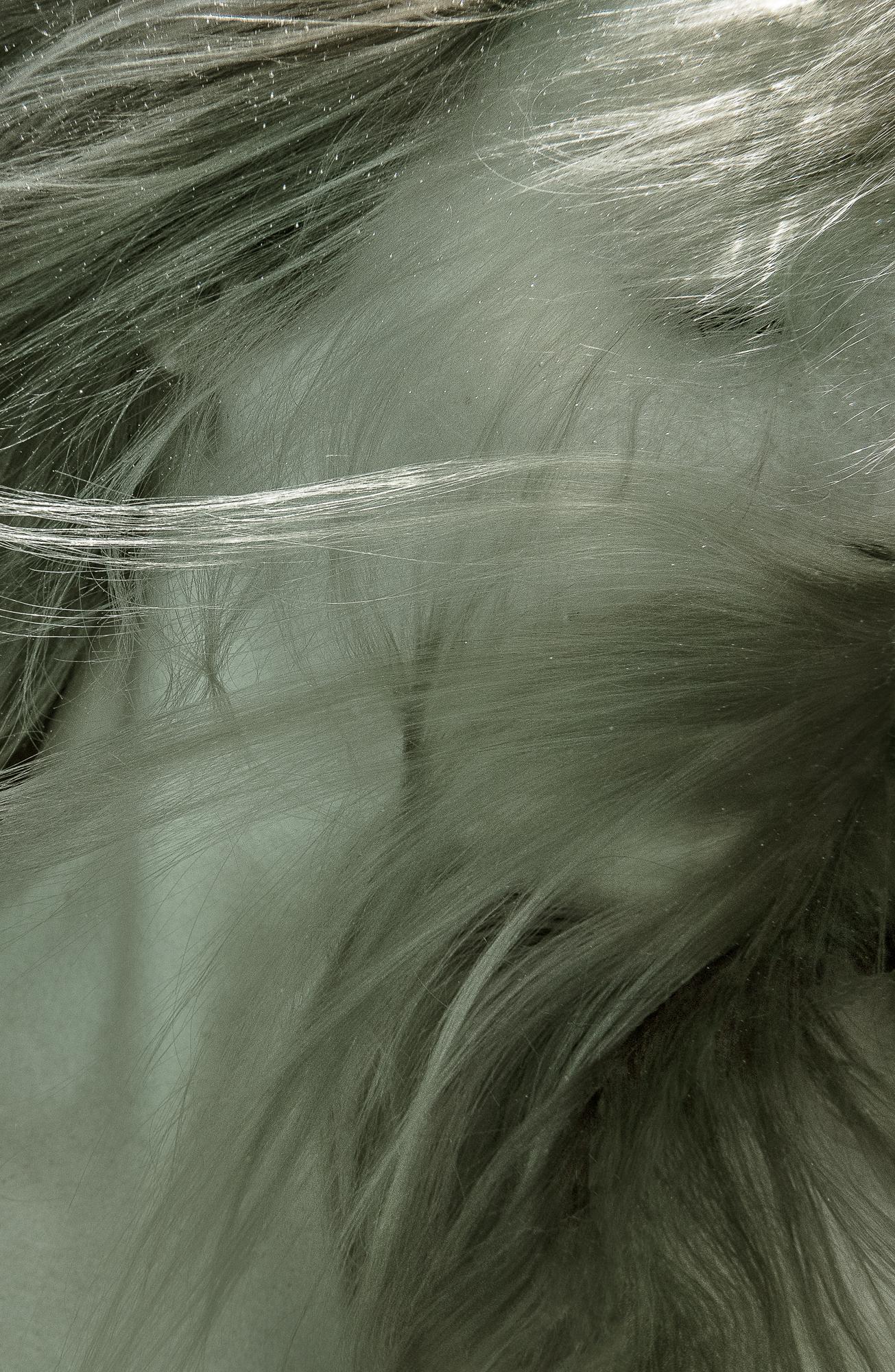 Abstract Photograph Alex Sher - The Angel Hair - photographie sous-marine - impression sur papier 35x23"