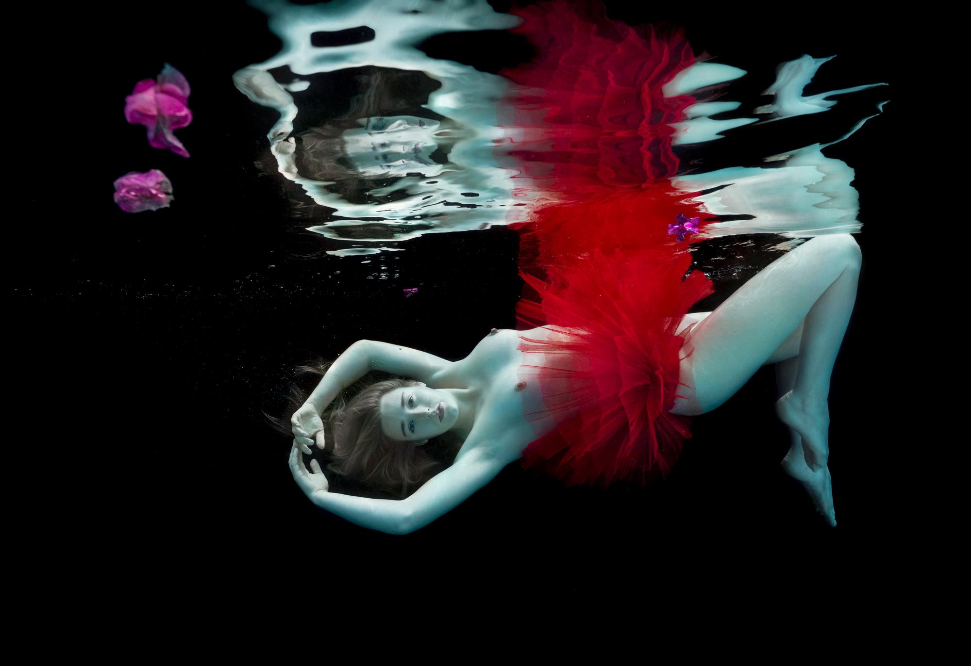 Alex Sher Nude Photograph - The Red and the Black - underwater nude photograph - archival pigment print