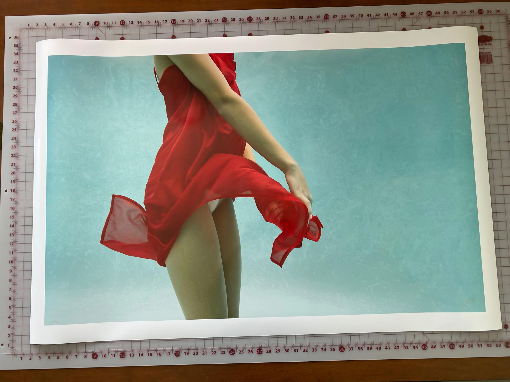 The Red Flower – Unterwasserfotografie – Archivalischer Pigmentdruck 43