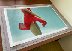 La flor roja - fotografía submarina - impresión de pigmento de archivo 35" x 55