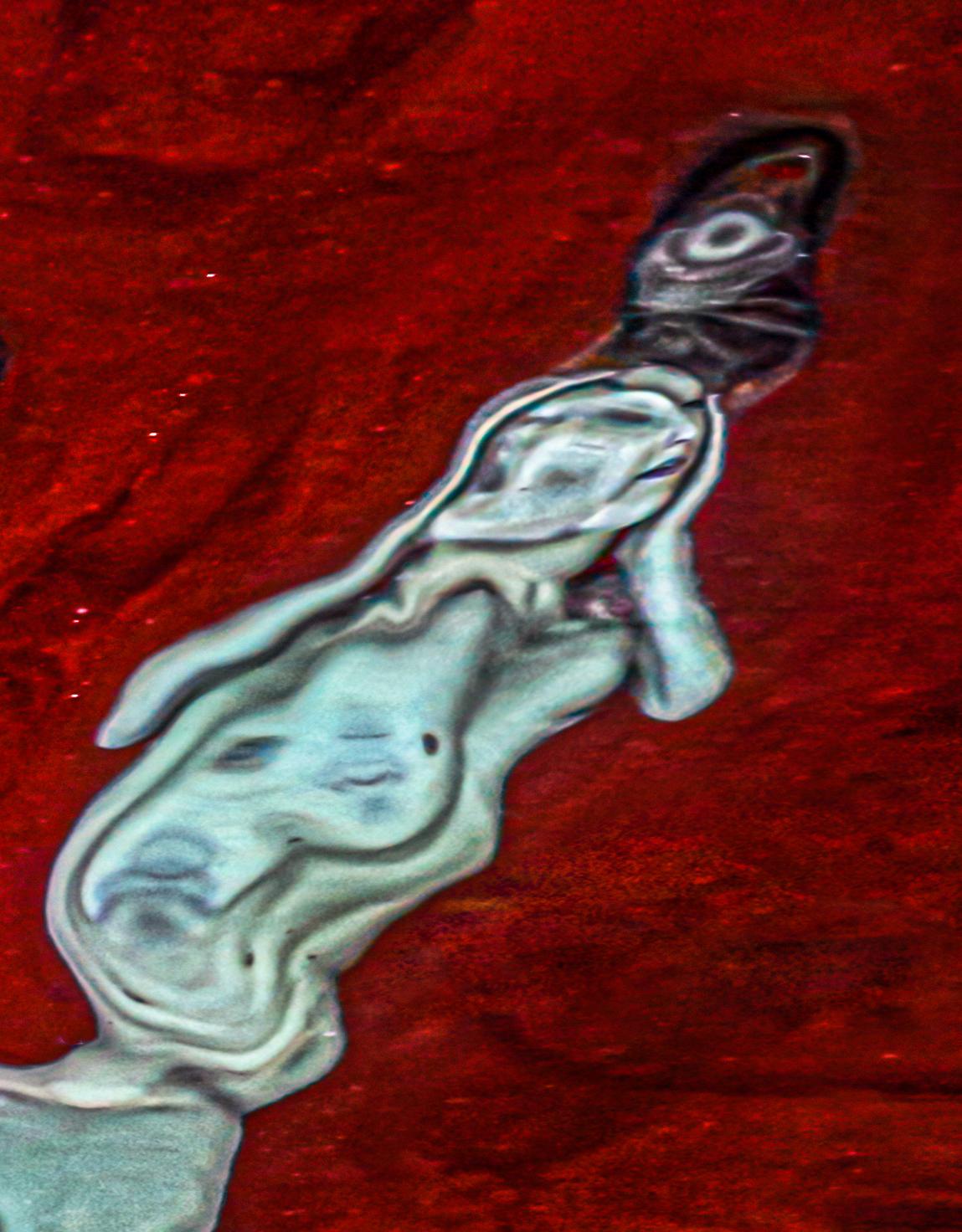 Una composición abstracta que capta la dramática interacción entre el carmesí vibrante y los elementos blancos descarnados. La fotografía presenta un remolino de texturas de color rojo intenso que dominan el encuadre, mientras que una forma blanca,