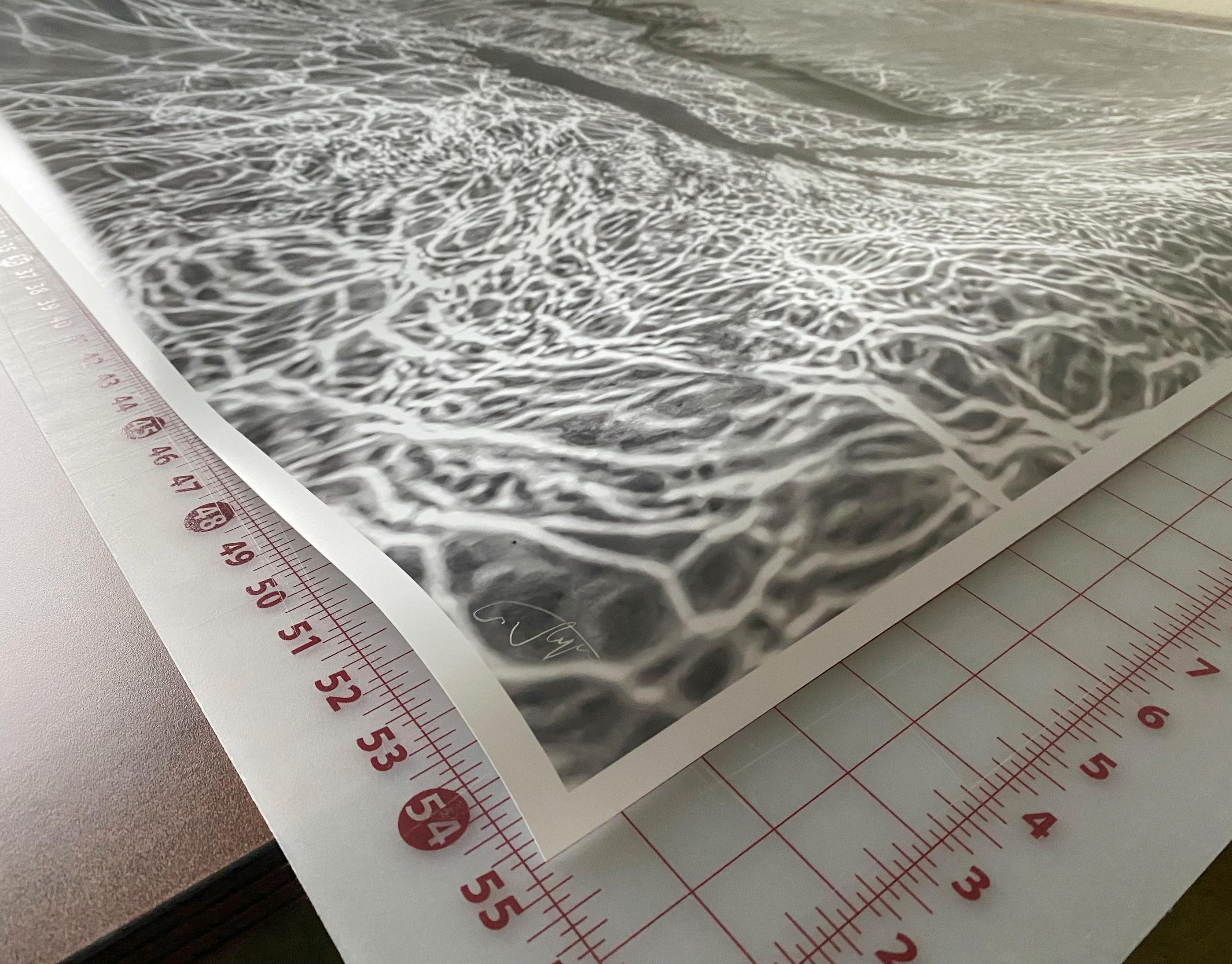 Una fotografia subacquea in bianco e nero di una bella donna giovane e nuda in una piscina illuminata dalla luce del sole. Il fondo della piscina è ricoperto da una misteriosa rete di ombre increspate e raggi di sole.

Stampa originale a pigmenti