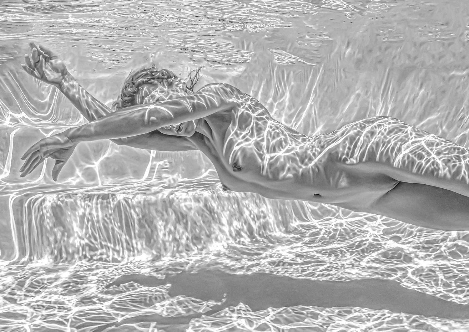 Thunderweb - Unterwasser-Nacktes Foto - Druck auf Aluminium 8 x 12