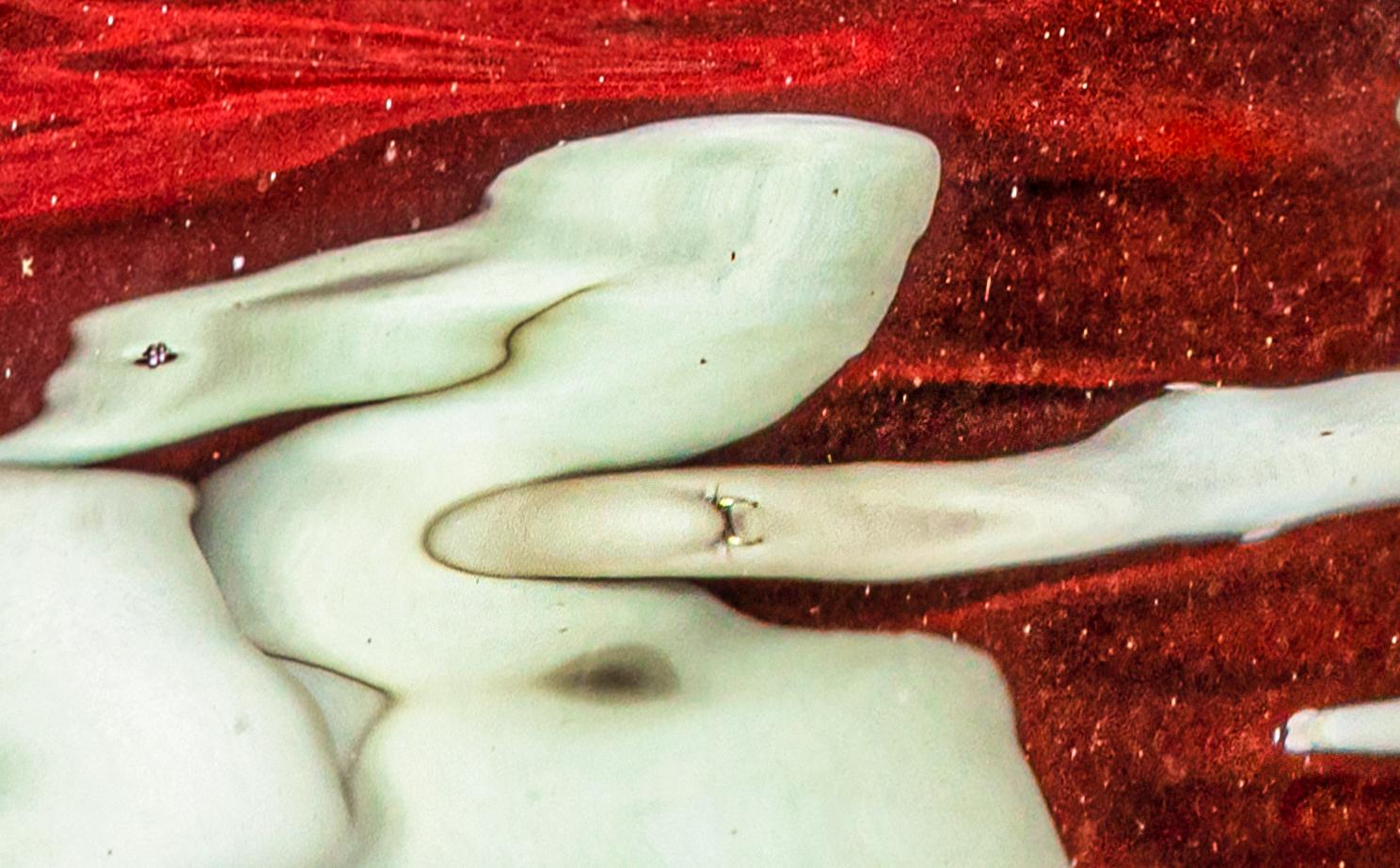 The Trouble - photographie d'une réflexion sous-marine - acrylique 28 x 48 pouces - Rouge Nude Photograph par Alex Sher