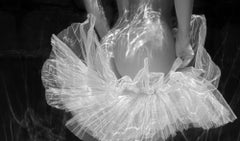 Tutu-Rock - Schwarz-Weiß-Fotografie in Unterwasser in Schwarz-Weiß - Druck auf Papier 21" x 35"