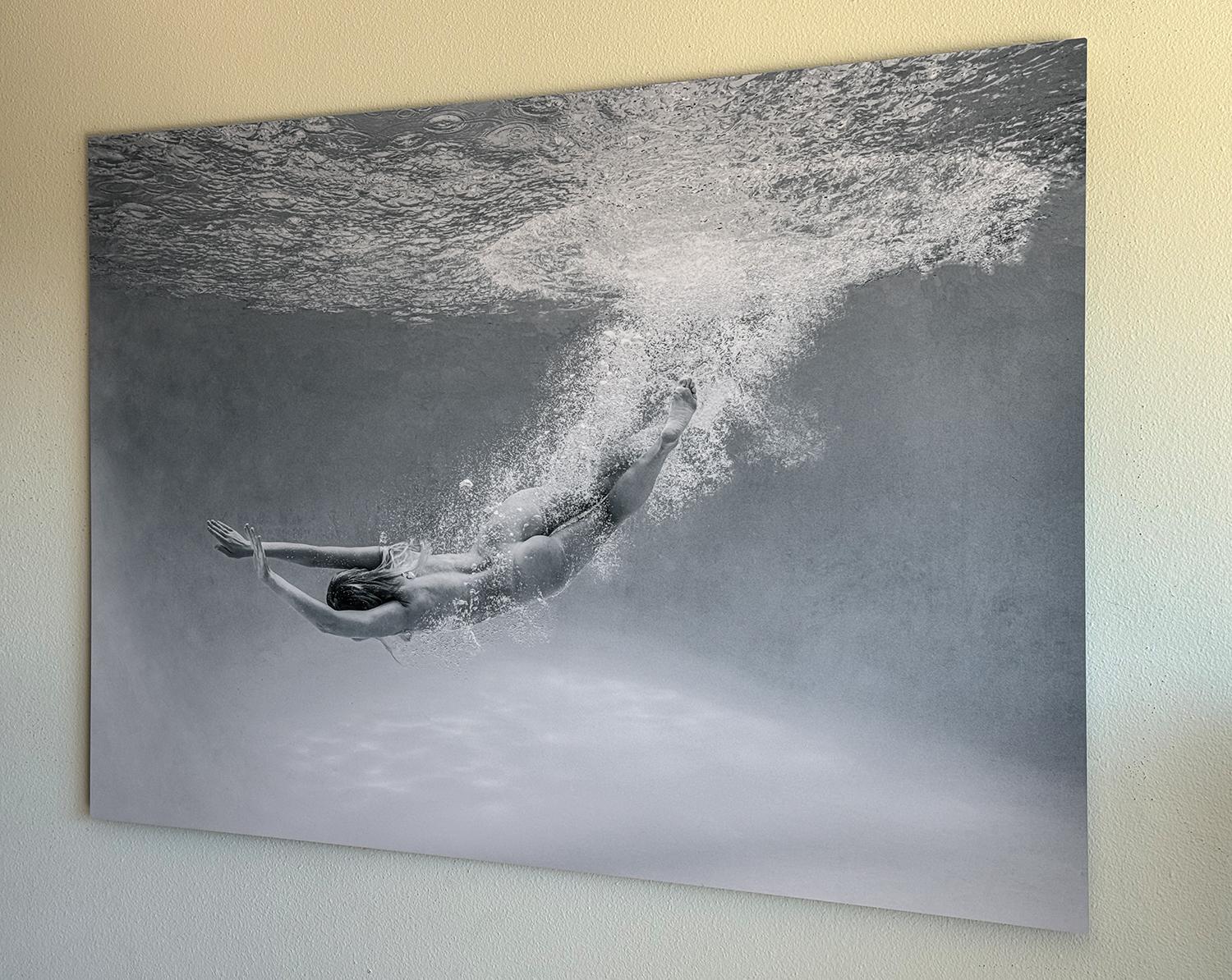 Under - underwater black & white nude photograph - print on aluminum 36x53