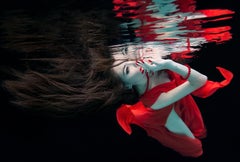 Water Lily - underwater photograph - print on aluminum 23" x 36"