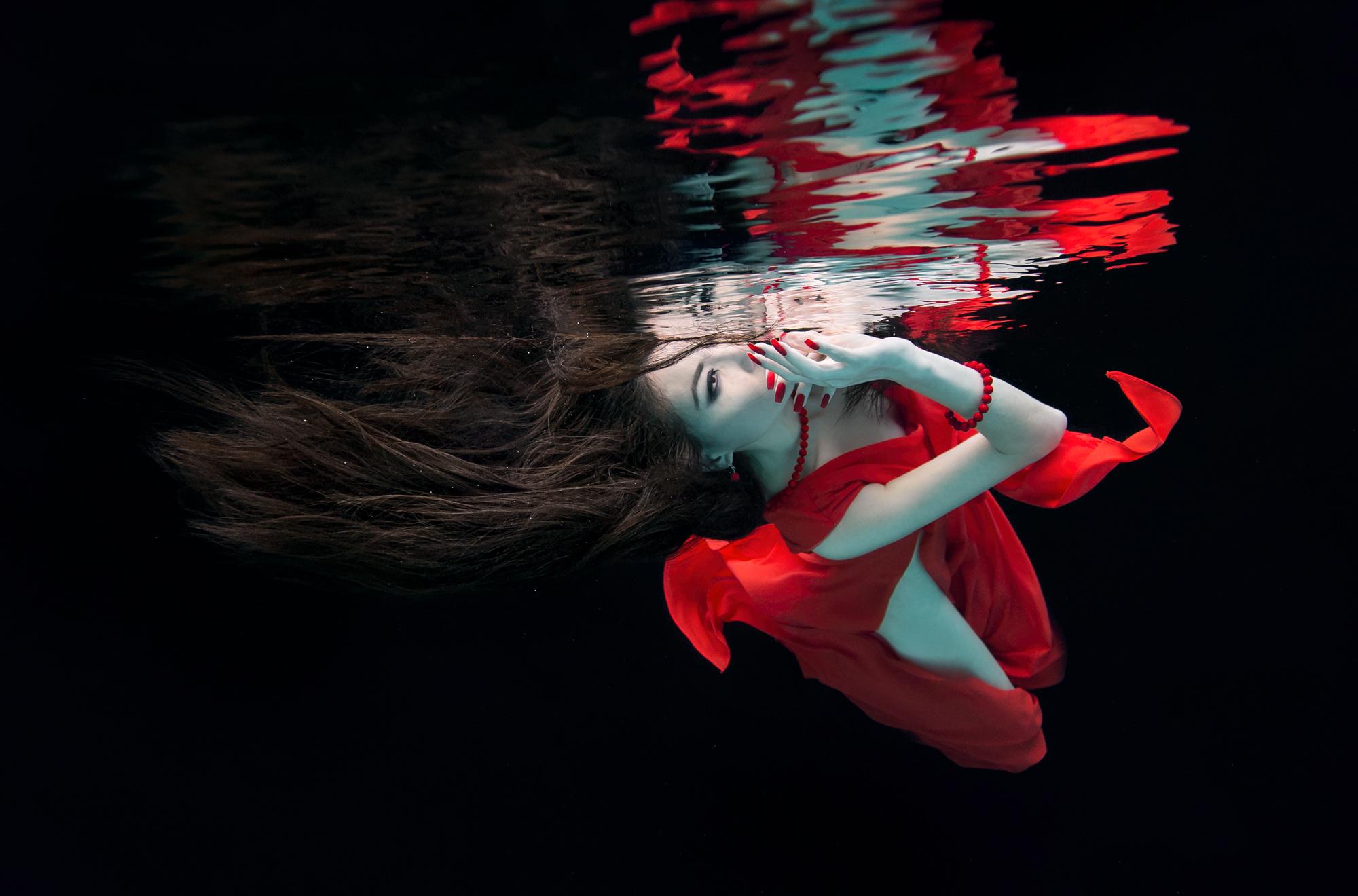 Alex Sher Figurative Photograph - Water Lily - underwater photograph - print on aluminum 23" x 36"