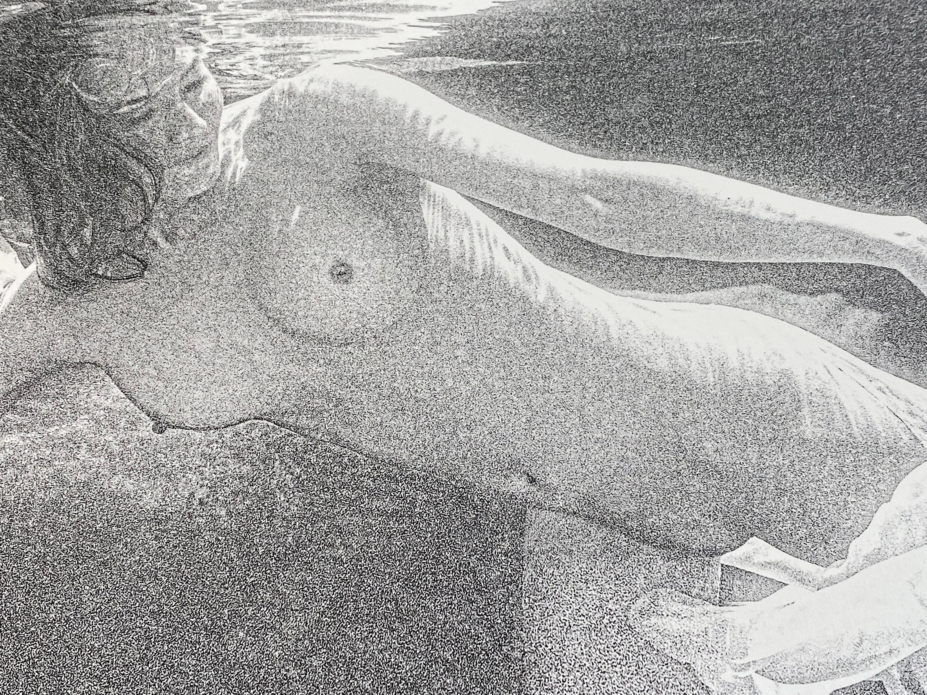 Water Sketch - underwater black & white nude photograph - archival pigment 18x24 For Sale 2