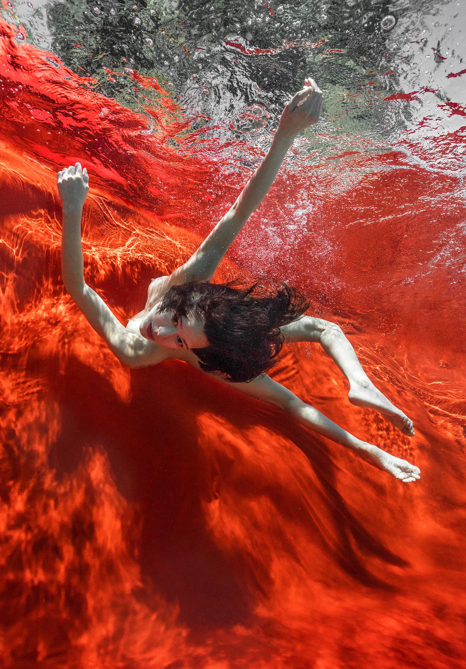 Alex Sher Nude Photograph - Wild Blood  - underwater nude photograph - archival pigment print 24x18"