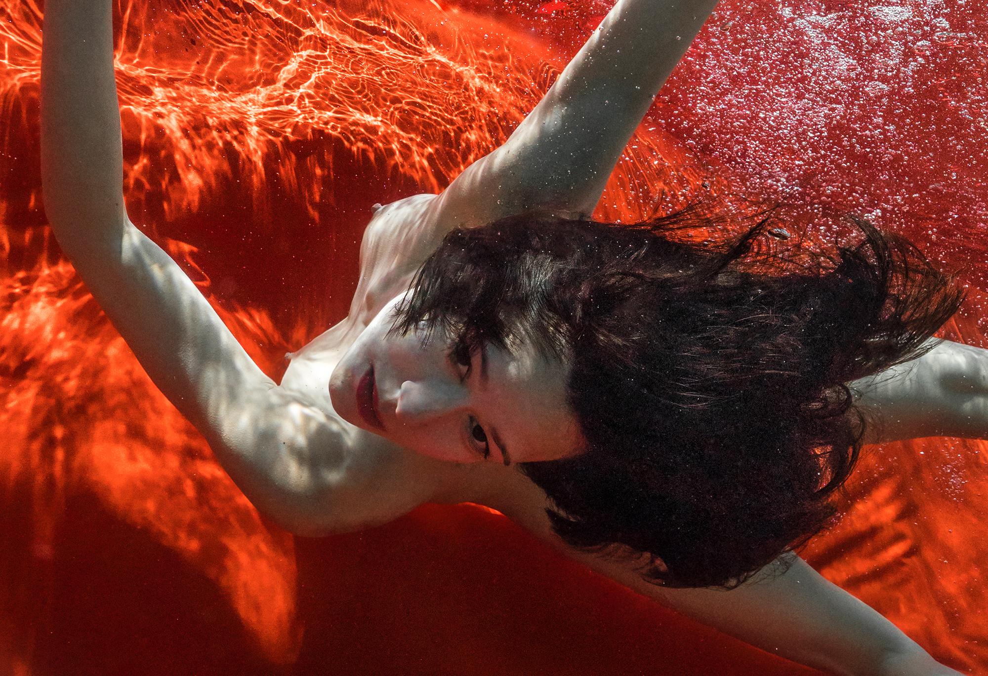 Wild Blood - photographie de nu sous-marine - impression sur aluminium 36x24
